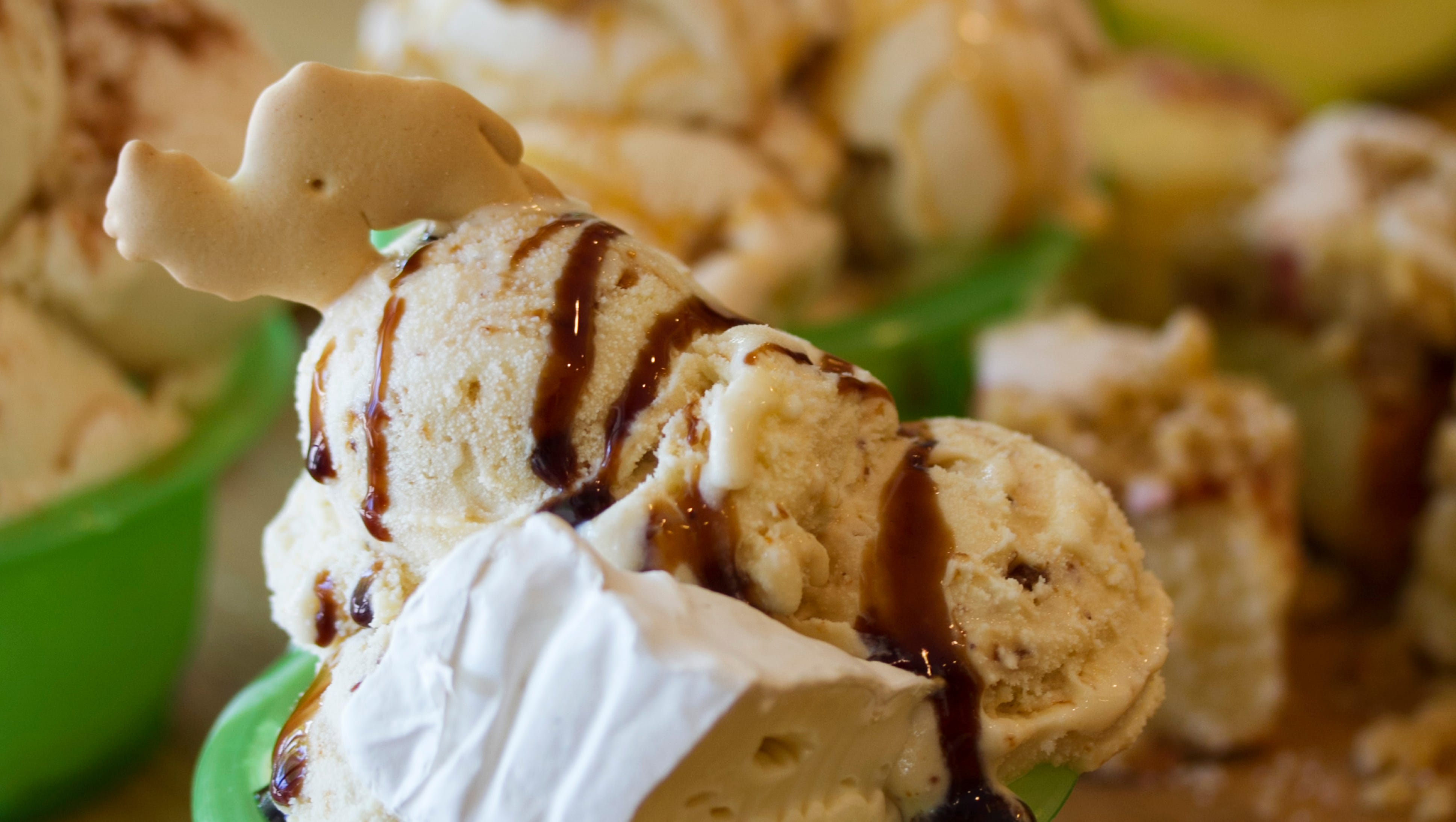 Duck Donuts opens; Dante's Coal Fired Pizza expands Sanibel ...