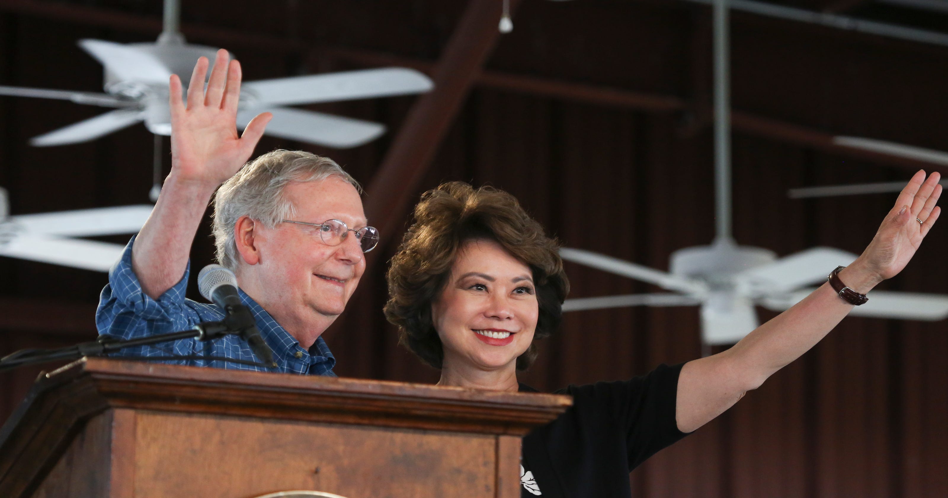 Mitch McConnell says protesters scared of wife, Elaine Chao