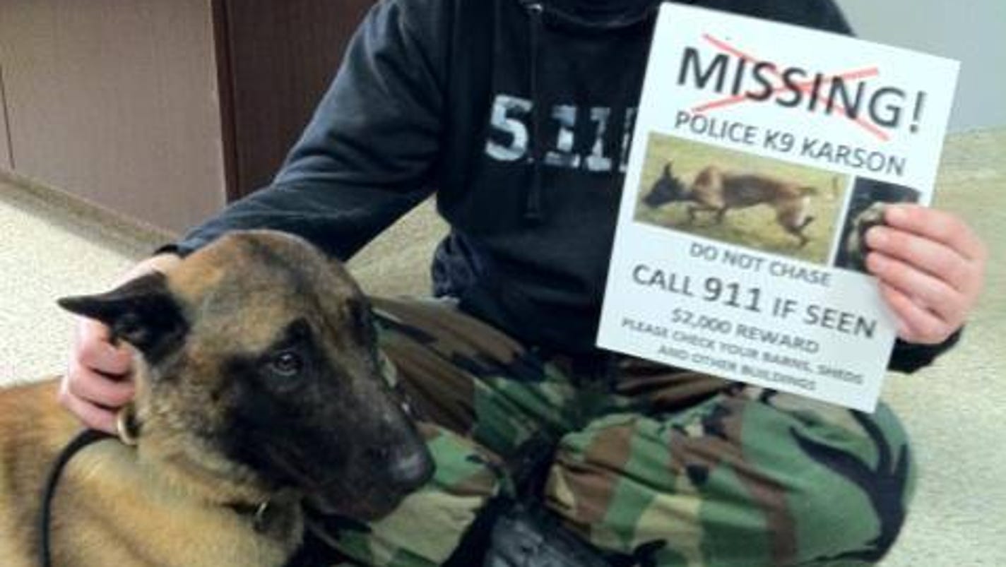 K9 found Police dog home after 2 months missing