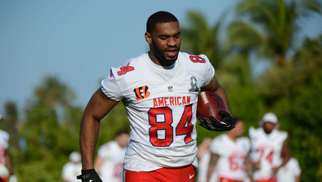 January 25, 2013: AFC tight end Jermaine Gresham of the Cincinnati Bengals (84) catches a pass during practice at AFC media day for the 2013 Pro Bowl at the JW Marriott Ihilani Resort.