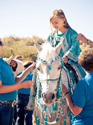 Meet an Arabian is one of the most popular events at
