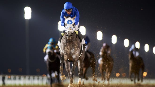 Frosted set a track record in Round 2 of the Al Maktoum Challenge, his local Dubai World Cup prep.