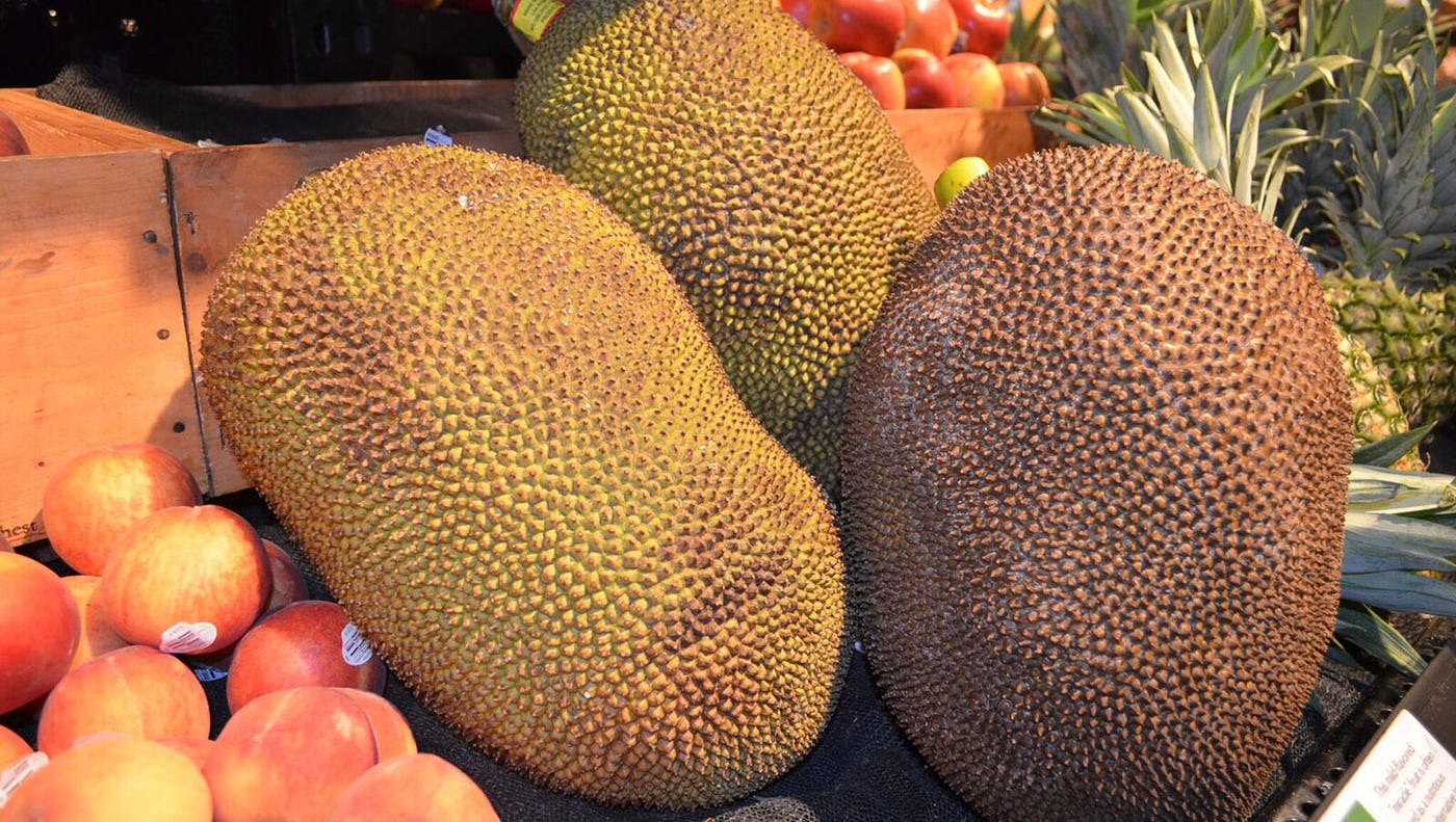 Jackfruit Recipes Best Tips On Buying Handling Eating Cooking It