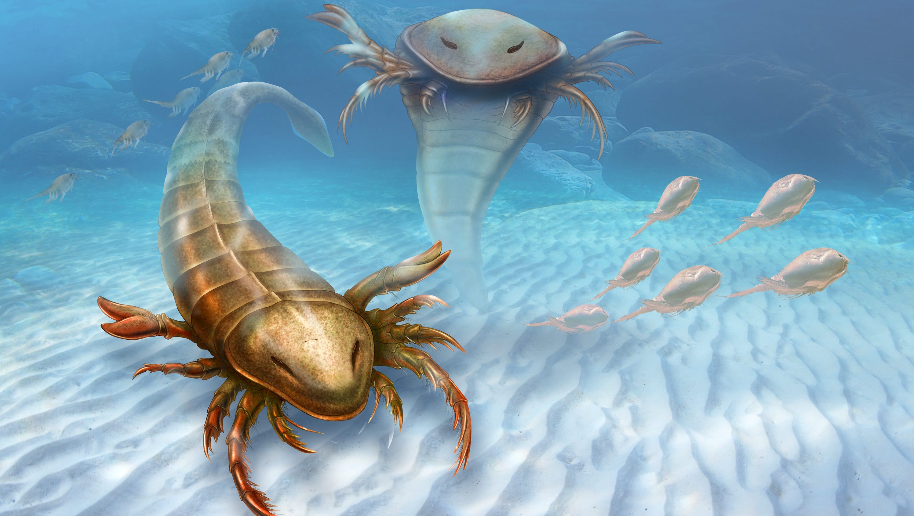Fossils from Iowa show big bug ruled the seas eons ago