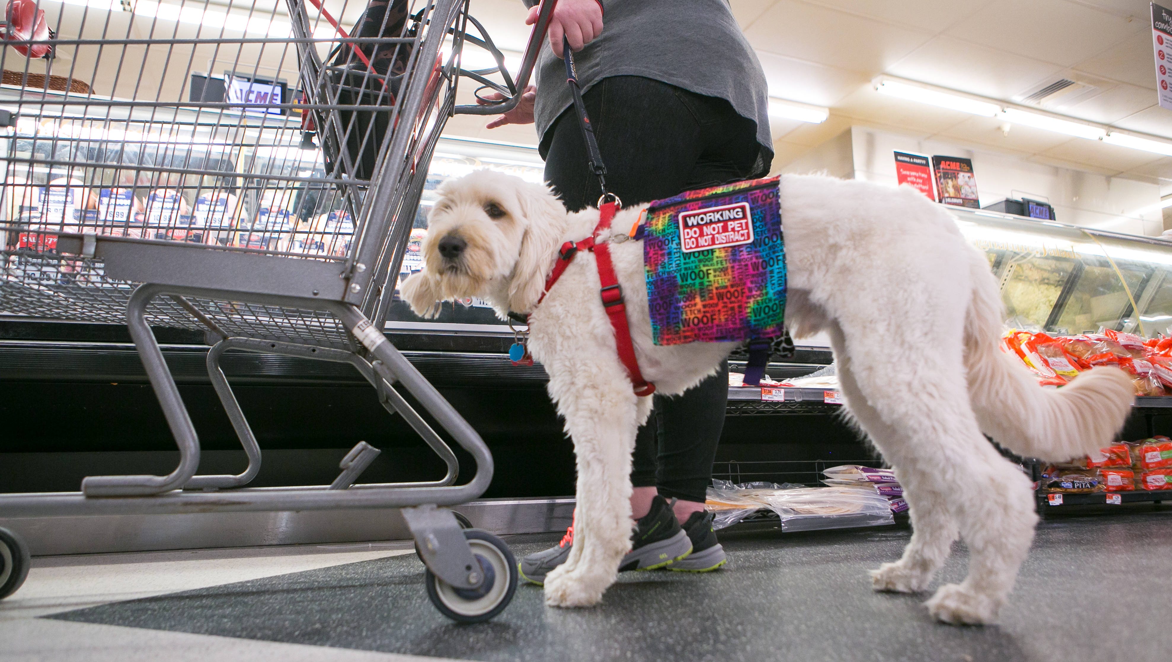 Viral Video In Delaware Reopens Debate Over Service Dogs In Restaurants