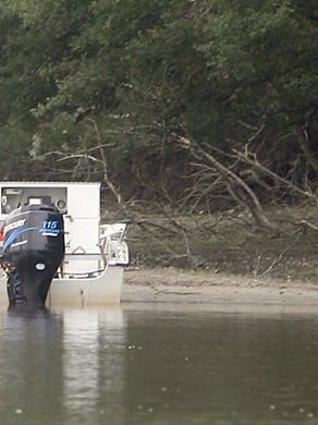 Biologists work along the banks of the Apalachicola River doing counts of Fat Threeridge mussels.