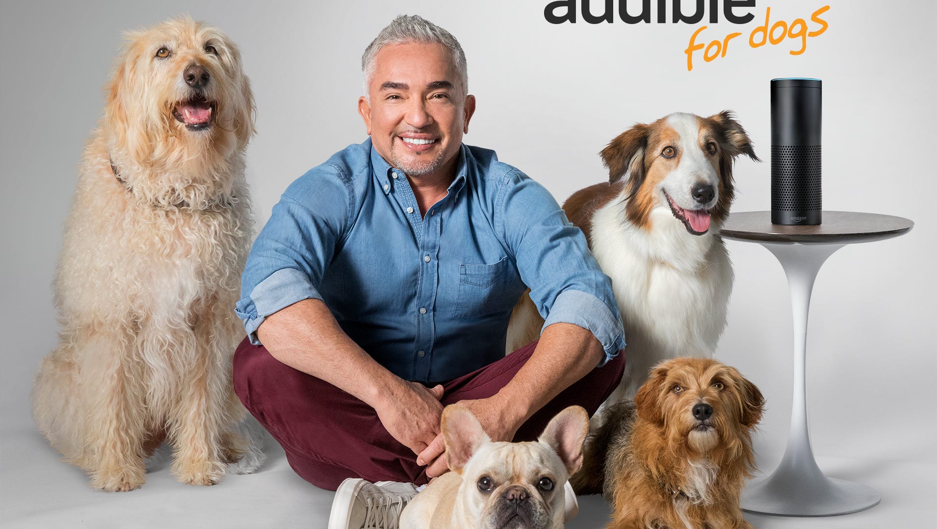 Audible Teams Up With Cesar Millan To Calm Dogs