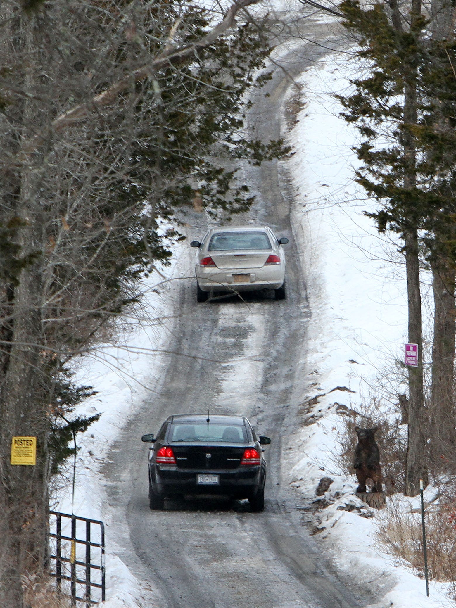 Fbi Searching Second Tartaglione Property