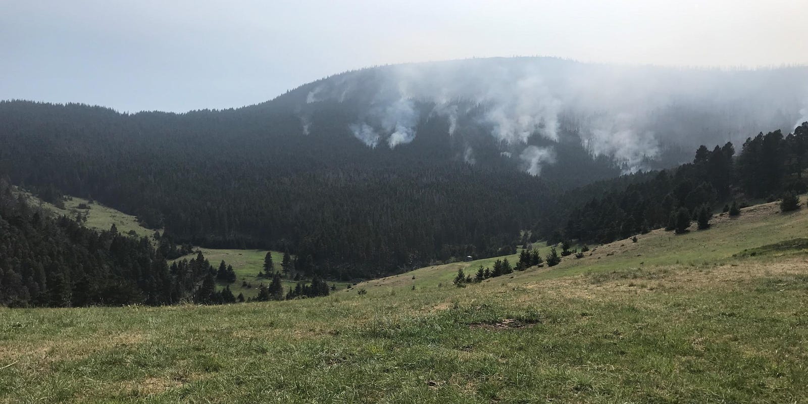 Beartooth wildlife area shutdown by fire southwest of Great Falls
