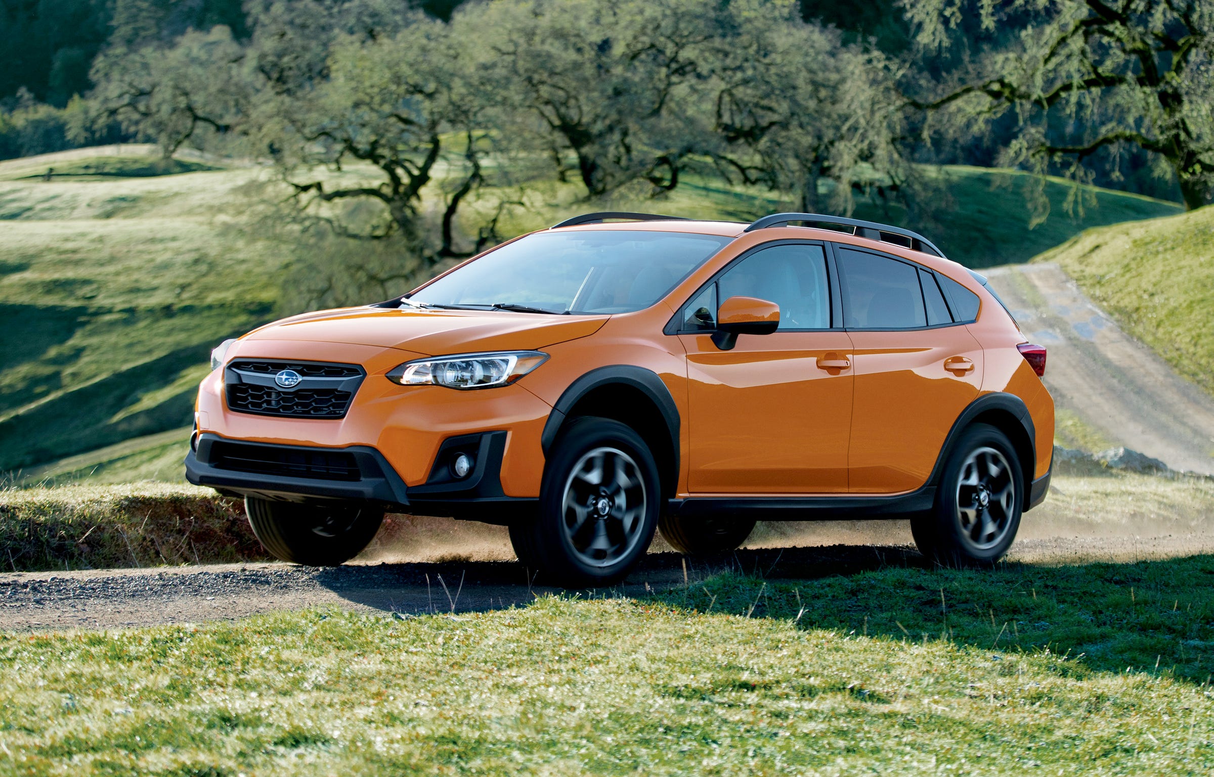 subaru built in dog ramp