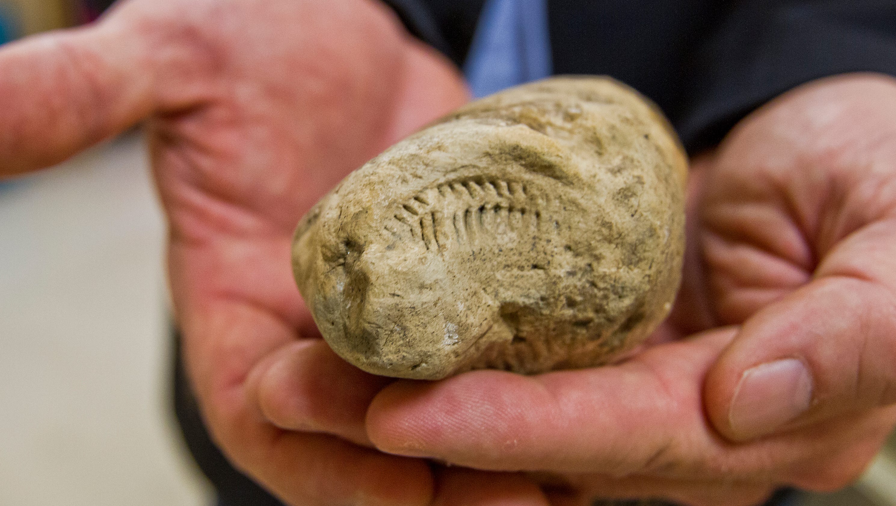 fossilized fish poop