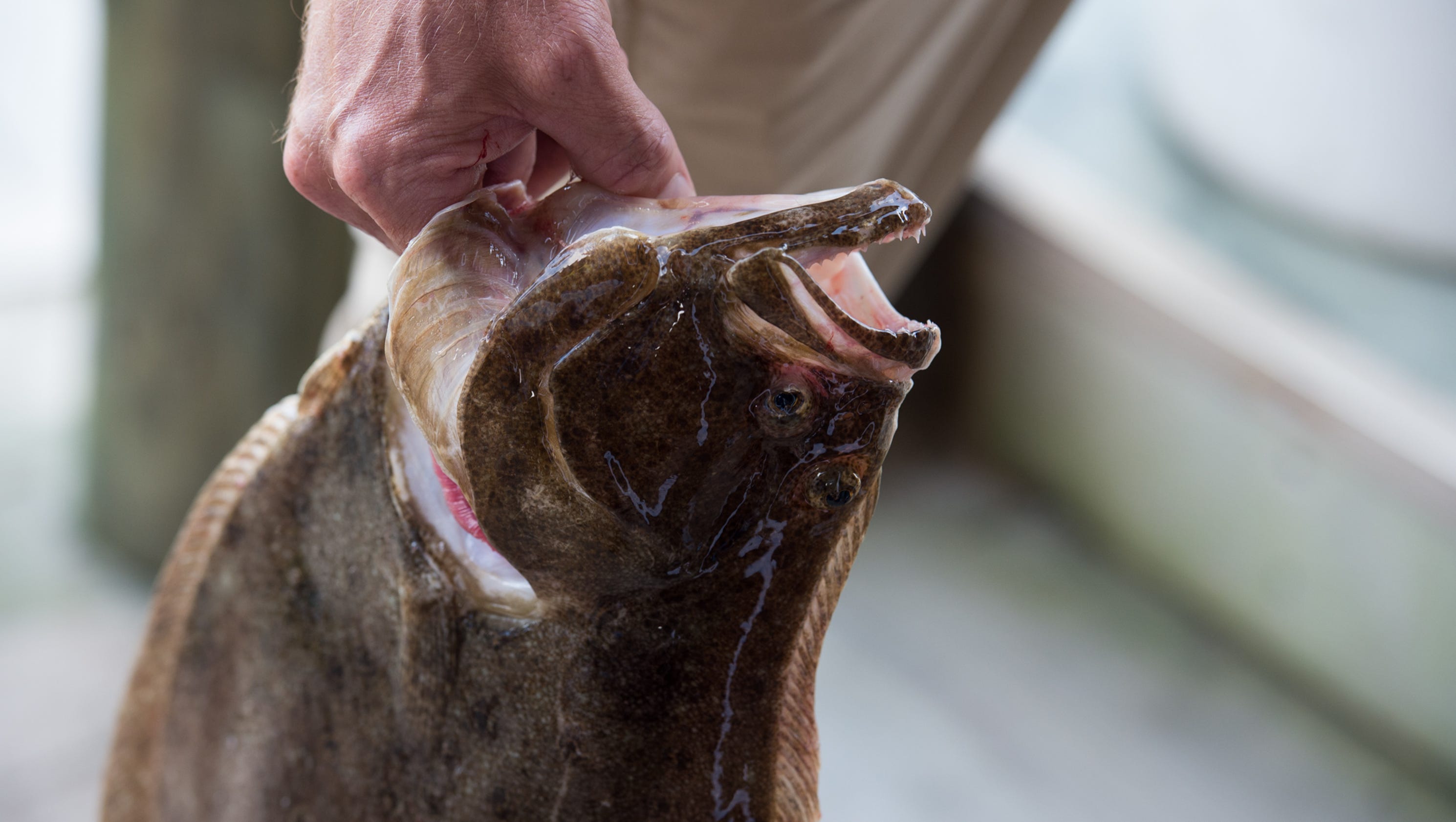 Flounder Pounder fishing tournament