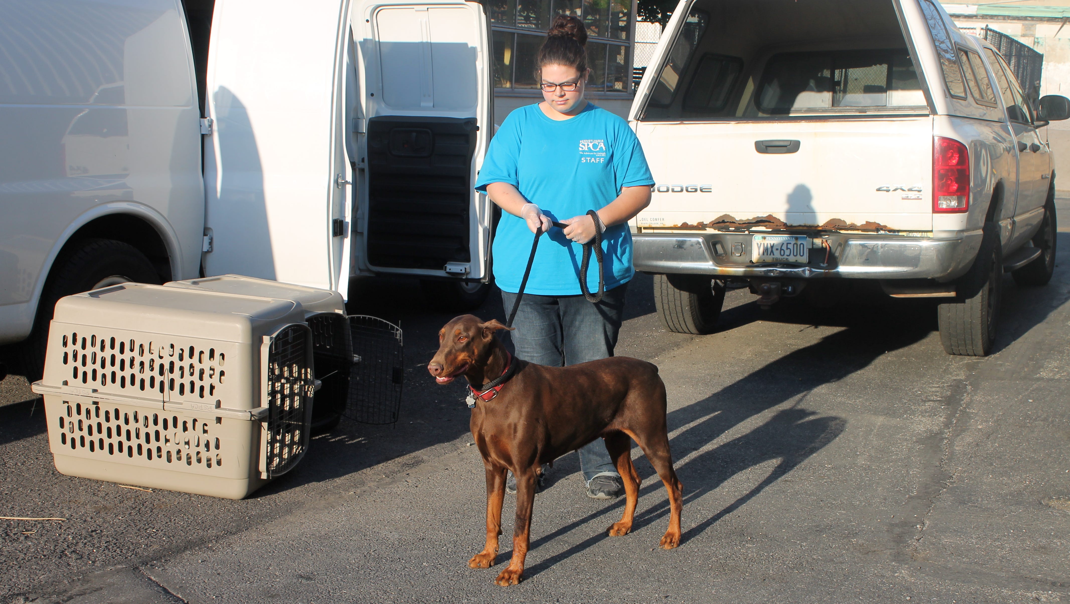 Breeder Illegally Debarked Dogs By Pushing Pipe Down Their Throats