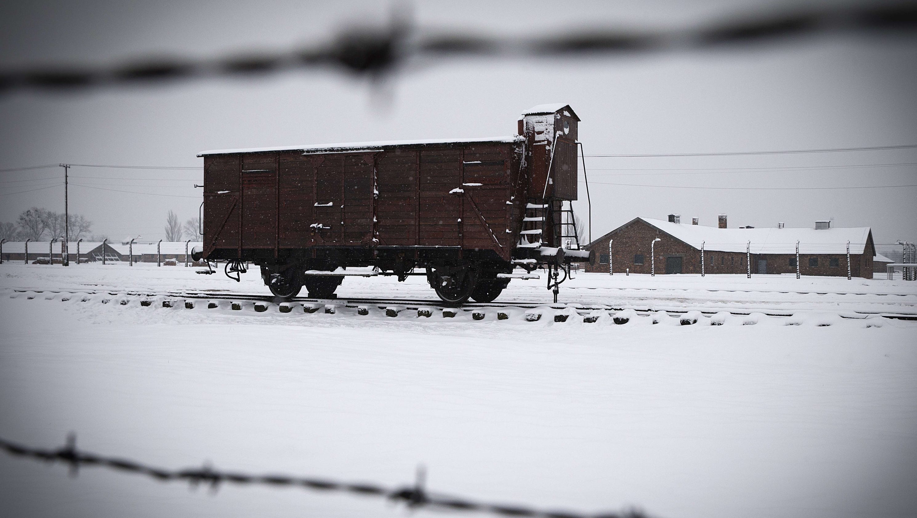 WWII 70 years later Preserving the truth at Auschwitz