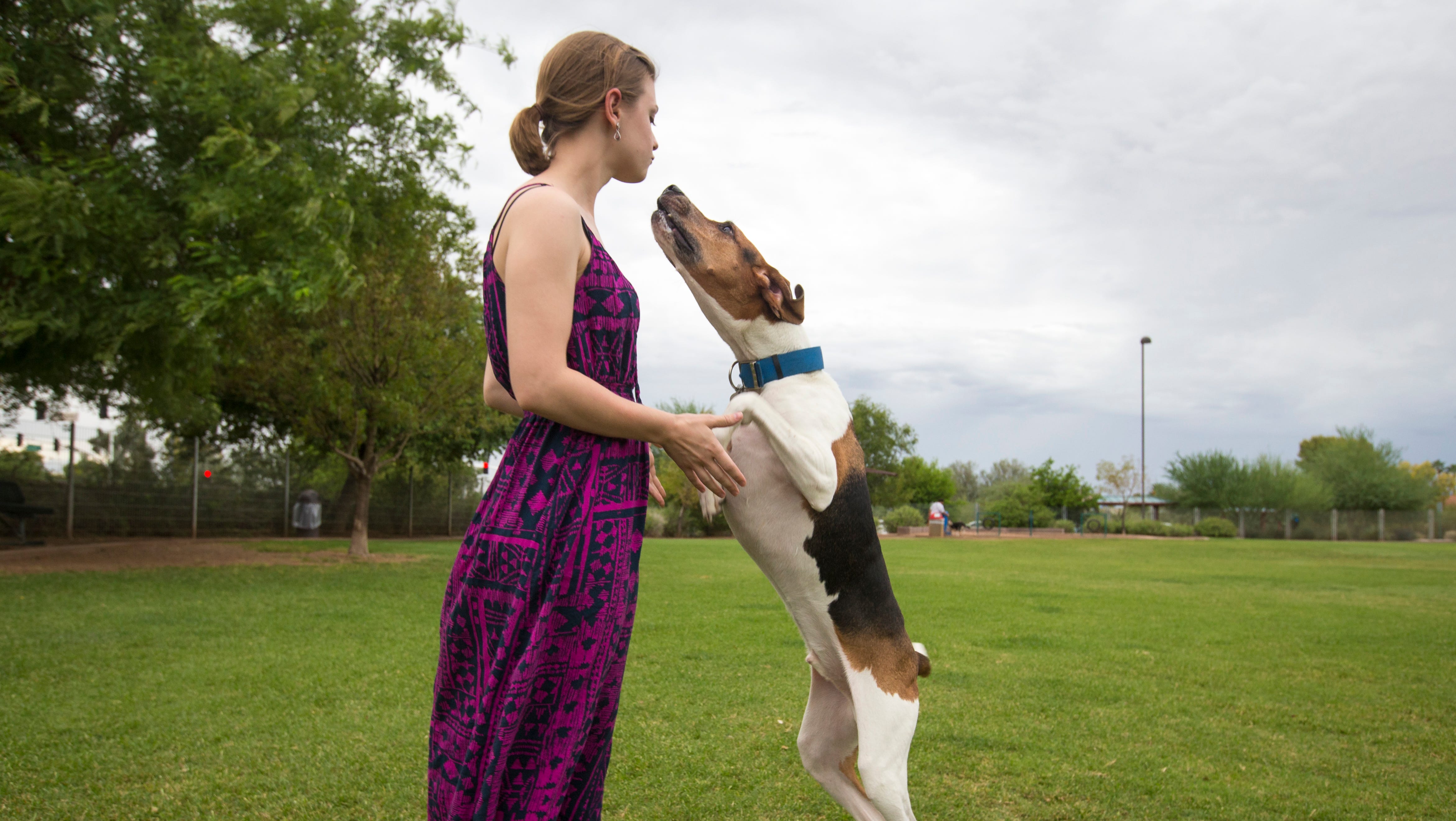 Scottsdale A pet's paradise?