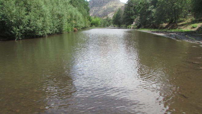 The Gila River flows near Turkey Creek.