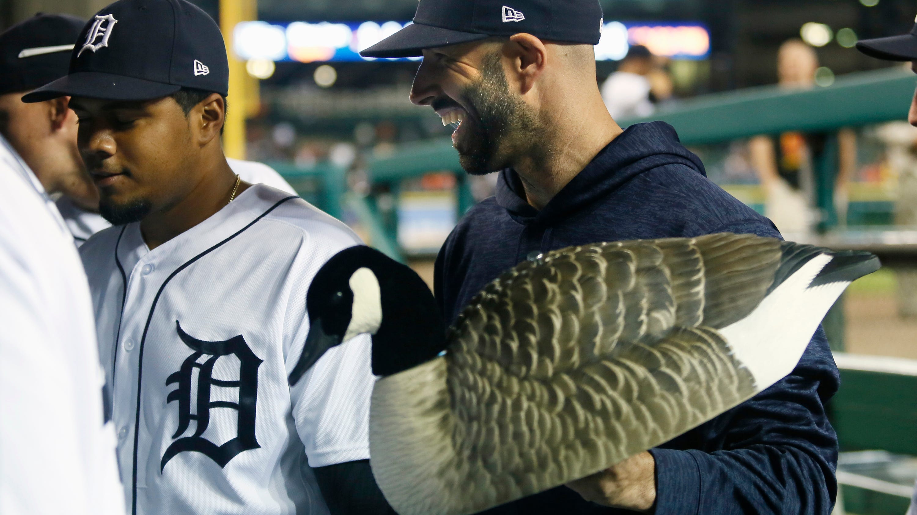 Detroit Tigers Embrace Luck From Rally Goose With A Replica In The Dugout