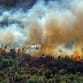 Sabal Palm residents east of Naples warned as 3,000-acre Greenway Fire nears