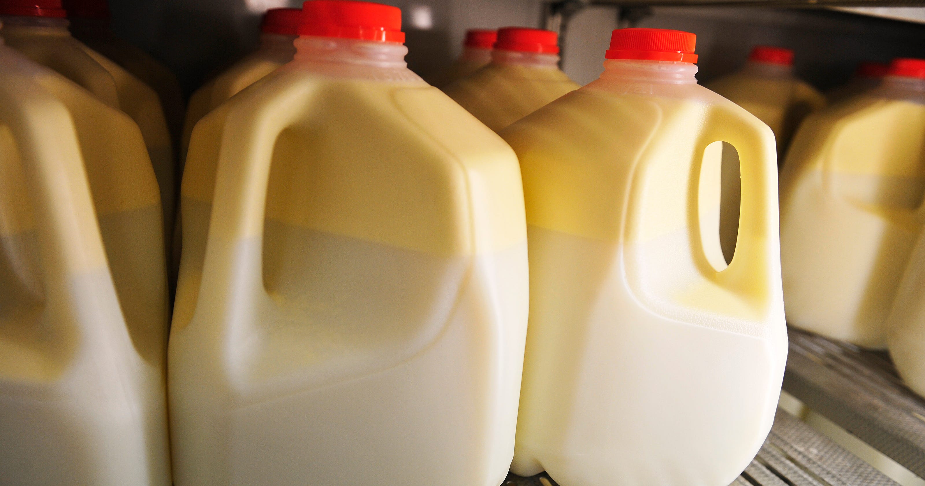 State Sen. Briggs proposes bill closing 'loophole' on raw milk sales