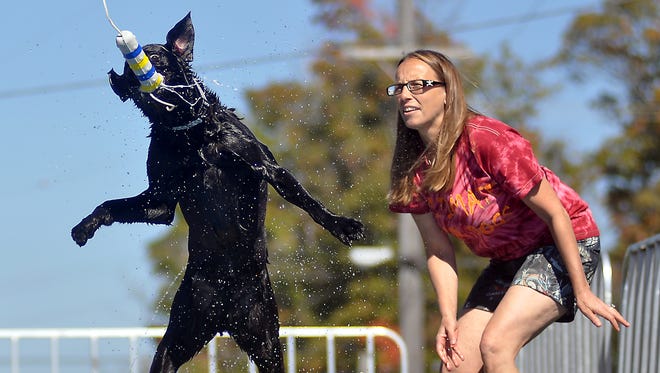 Cathi Wilcox and her dog Maximus entertain Pumpkinfest crowds during the Ultimate Air Dog Show on Saturday afternoon.