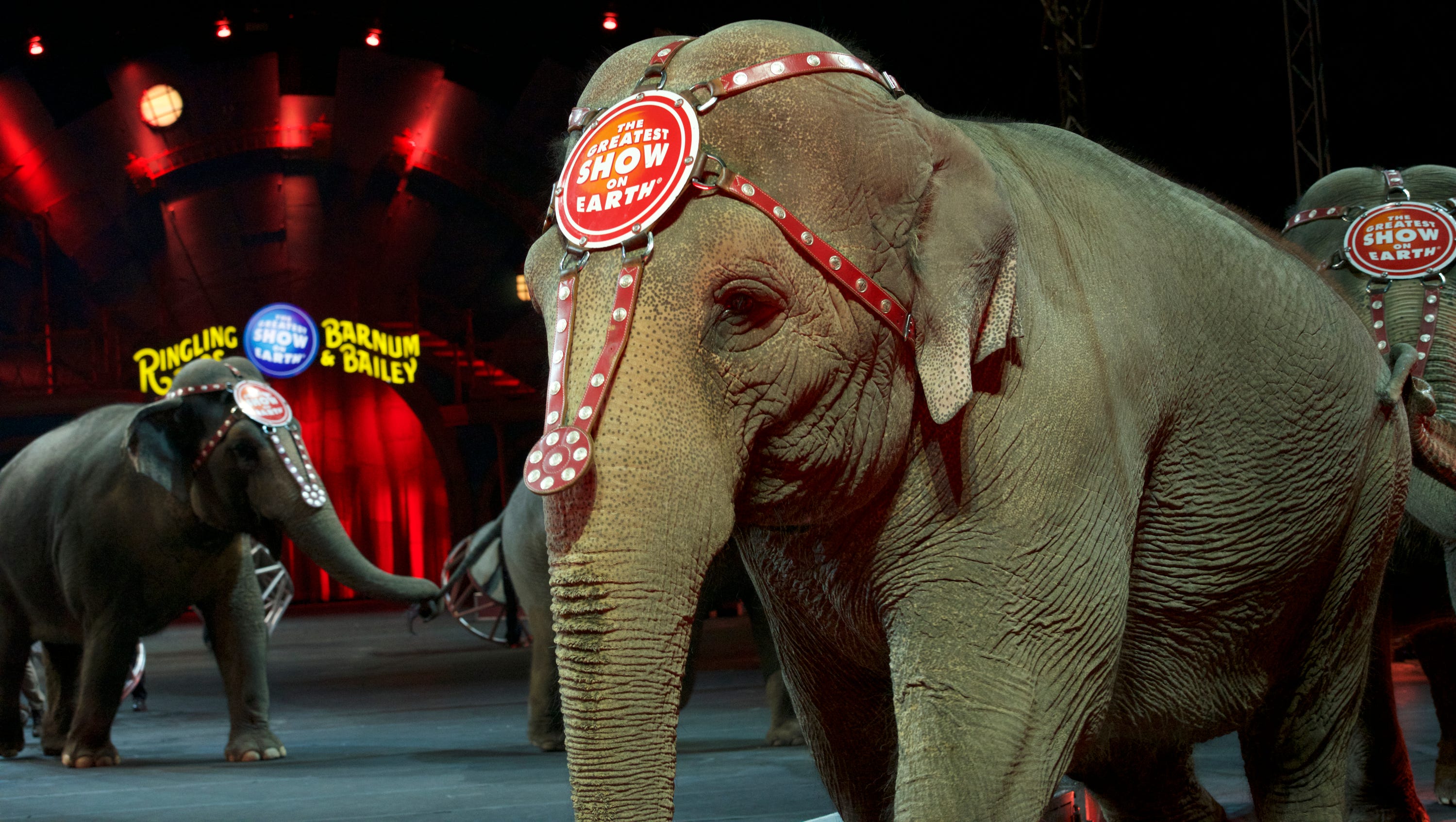 Ringling Bros Circus Elephants Set For Final Act Sunday
