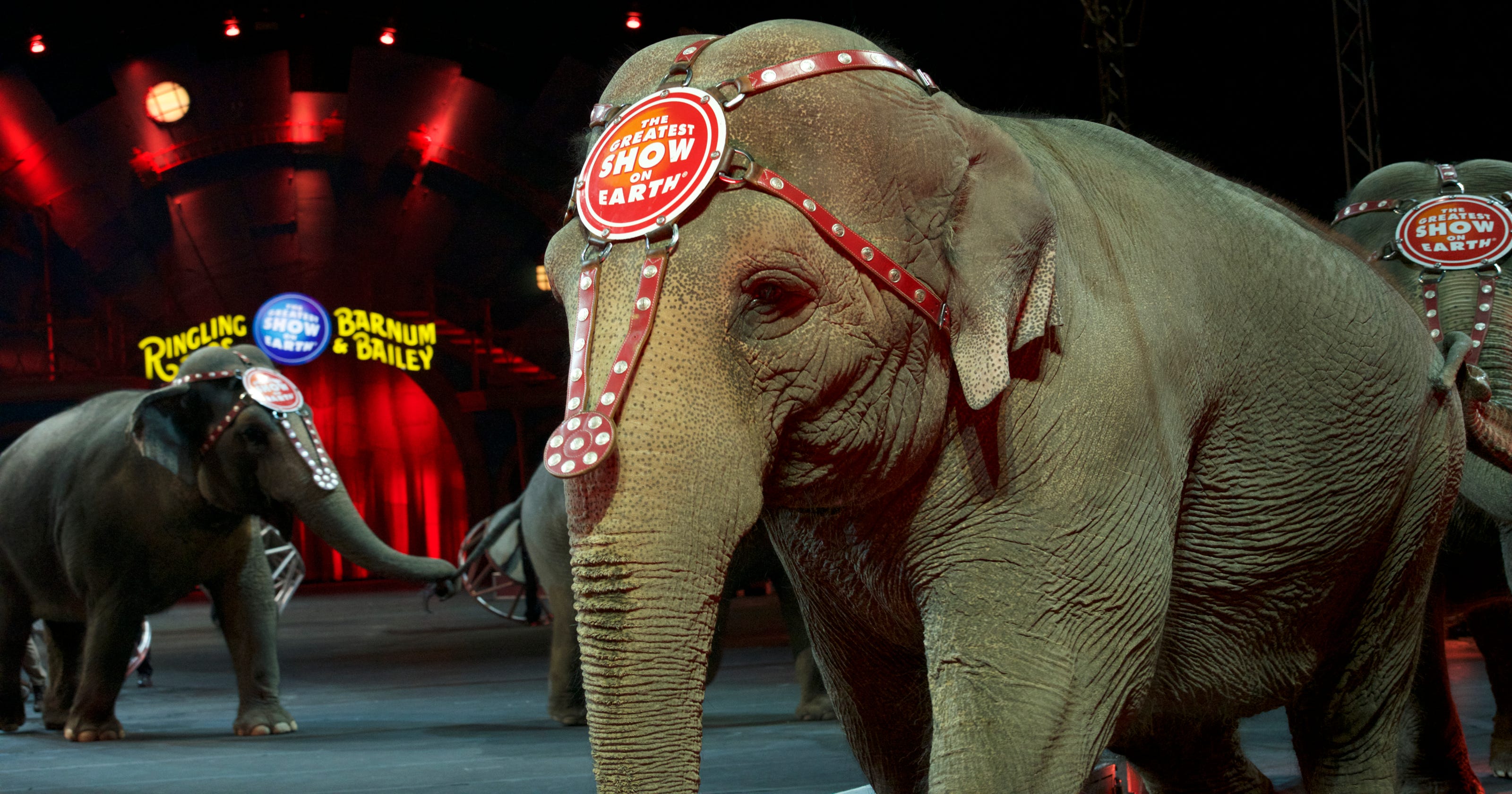 Ringling Bros. circus elephants set for final act Sunday