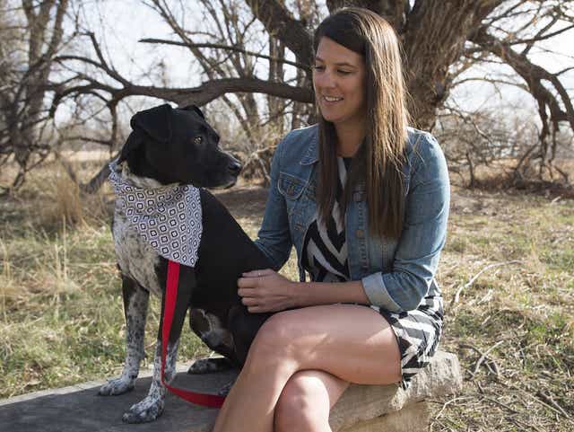 Marijuana Poisoning A Serious Risk For Colorado Dogs