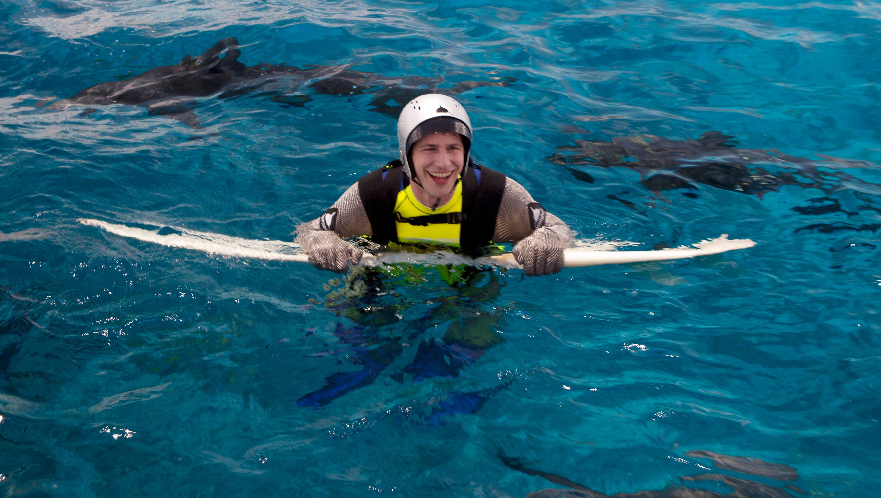 Shark Week Encounters Through The Years Shark week staffel 25, folge 4: shark week encounters through the years