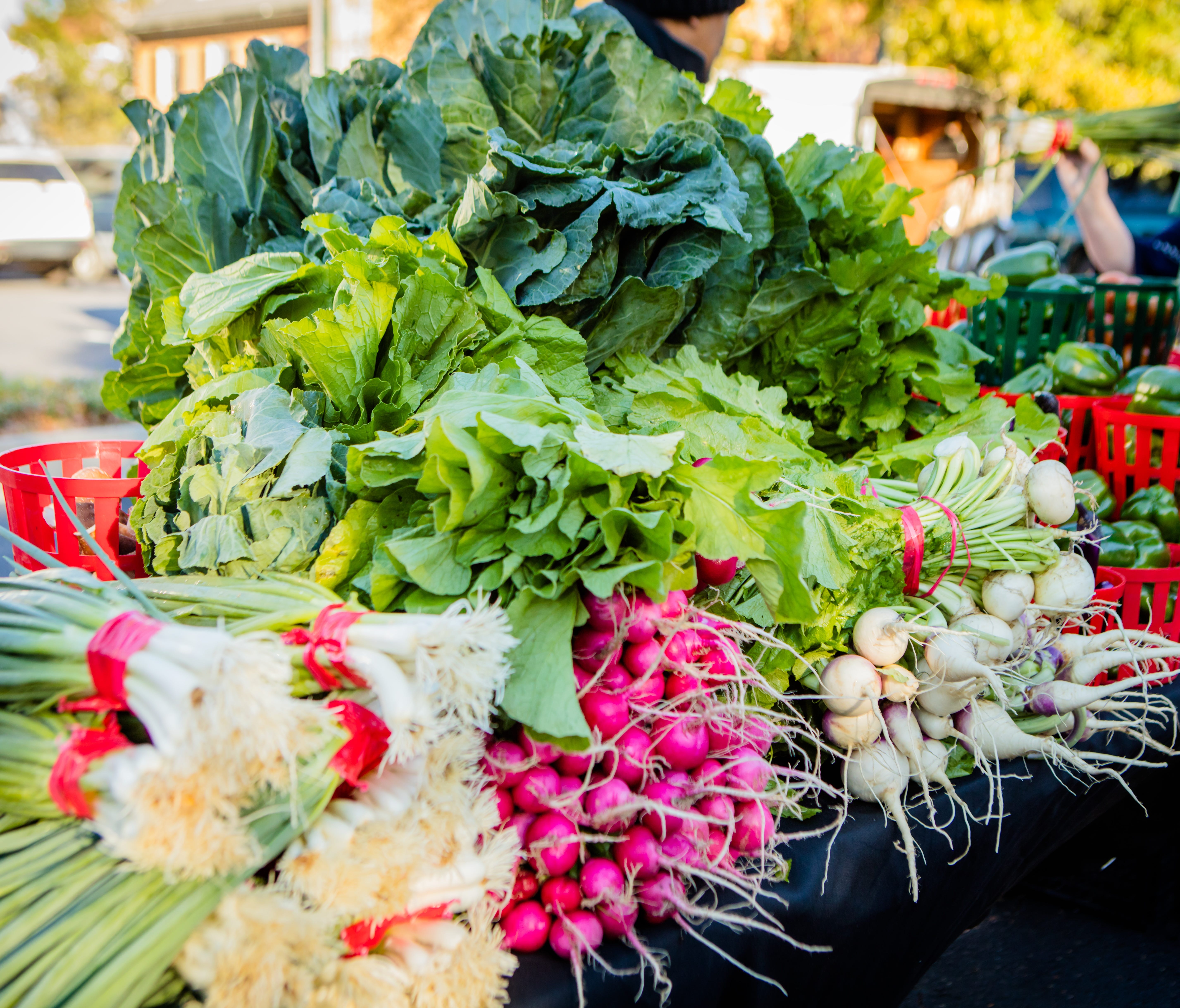 In Georgia, Statesboro Main Street Farmers Market meets on Saturdays from April to November in Charlie Olliff Square at Sea Island Bank. The Statesboro, Ga., gathering features more than 25 food and produce vendors.