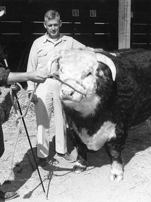 This March 19, 1963 photo from the Reno Evening Gazette shows Bill Stead, center, with a 1,700-pound grand champion bull named Wink S. Silverstone II. Stead had just purchased the bull from Fred Conley of Tonopah, at left.