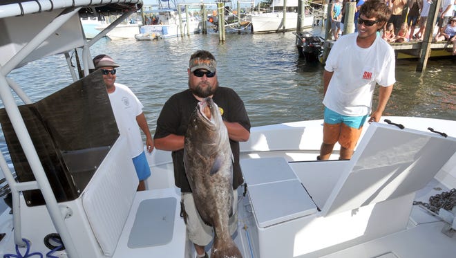 45.25 pound gag grouper caught by Brent Oakley and his crew aboard Rock Bottom in 2016 Sebastian Blue Water Open