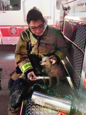 A small dog receives oxygen after Brevard County Fire Rescue and Titusville Fire Department crews responded to a kitchen fire Wednesday.