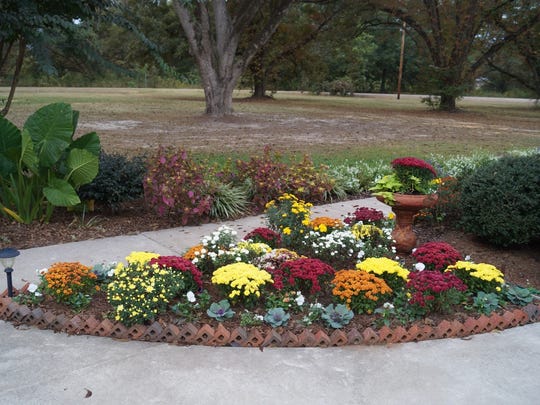 7 Easy Steps To Create A Beautiful Flower Bed