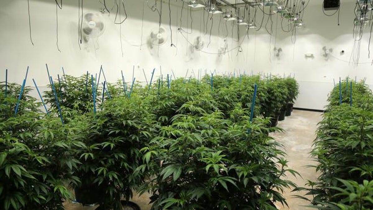 Patients Still Dissatisfied In Ohio S Medical Marijuana