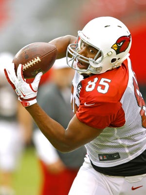 Arizona Cardinals tight end Darren Fells makes a catch during training camp Wednesday, Aug. 13,  2014 in Glendale.
