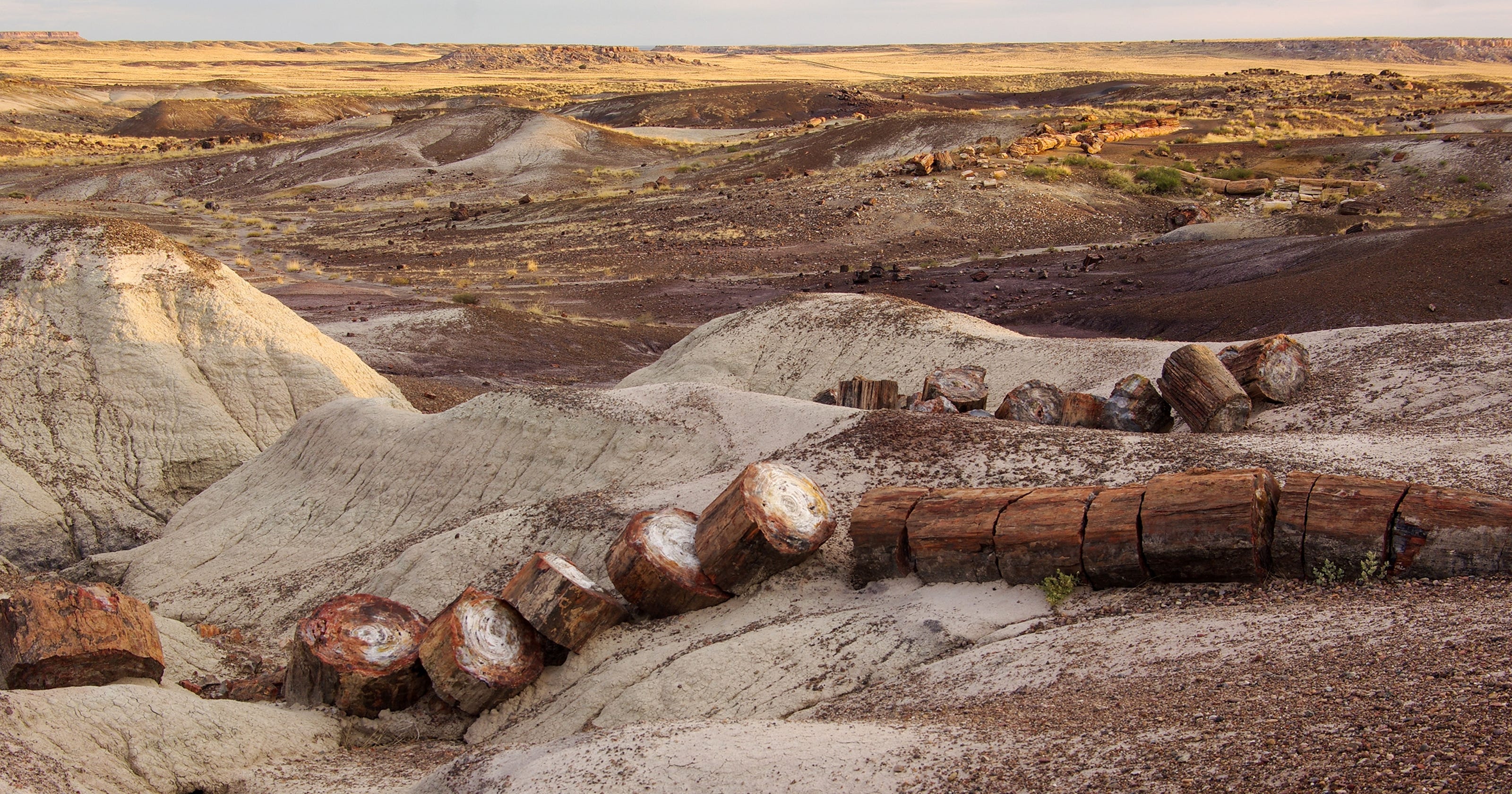 Learn more about visiting this northern arizona attraction. Petrified Forest National Park 10 tips for your visit