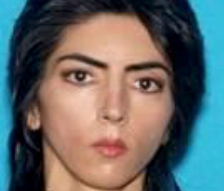A police handout photo of Nasim Aghdam.