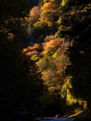 Fall colors are starting to appear along U.S. Highway 441 through the Great Smoky Mountains National Park near Chimney Tops trail Monday, Oct. 19, 2015. Park spokesperson Dana Soehn said rangers had reported the best fall foliage color was between 3,000 and 4,000-foot elevation over the weekend. (MICHAEL PATRICK/NEWS SENTINEL)