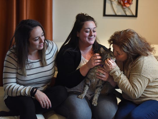 Jimmy the cat reunited with his family after 2½ years 636269290998722832-4.4.17WanaqueJimmy036