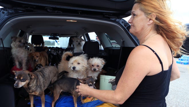Pamela Hyatt of Rockport couldn't find a hotel on Sunday, August 27, 2017, two days after Hurricane Harvey devastated the Coastal city due to the number of dogs she has.