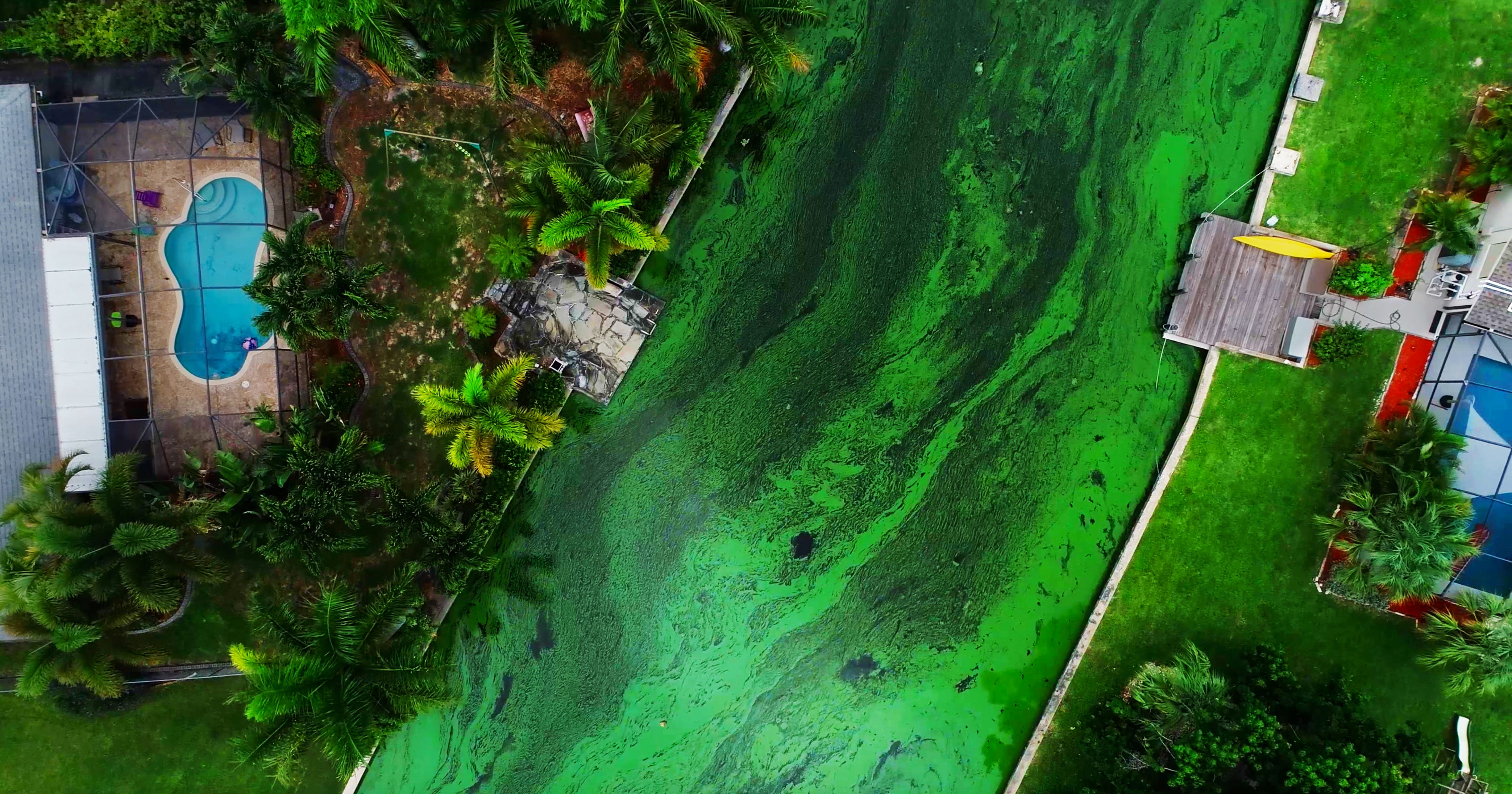 Florida's toxic algae crisis: See aerial footage of ...