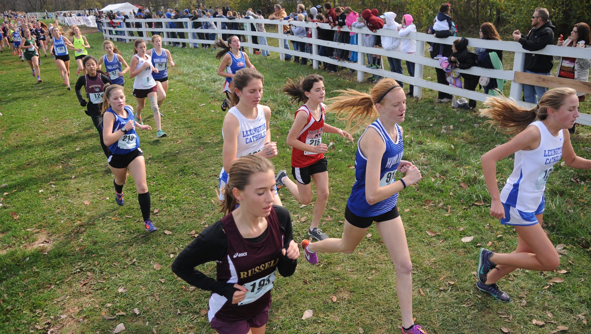 Tiger Run cross country meet features great KHSAA runners