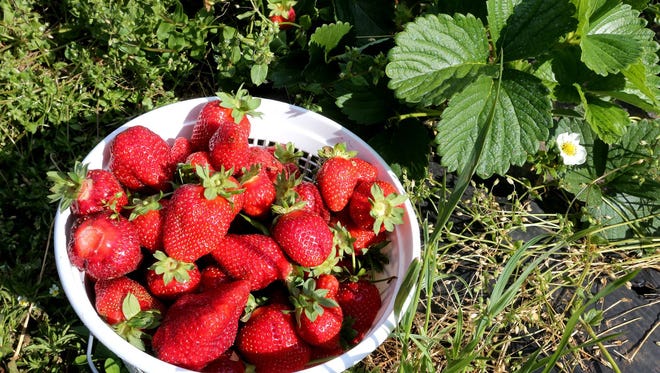 Strawberries topped the Environmental Working Group's "Dirty Dozen" list of produce with the most pesticides.