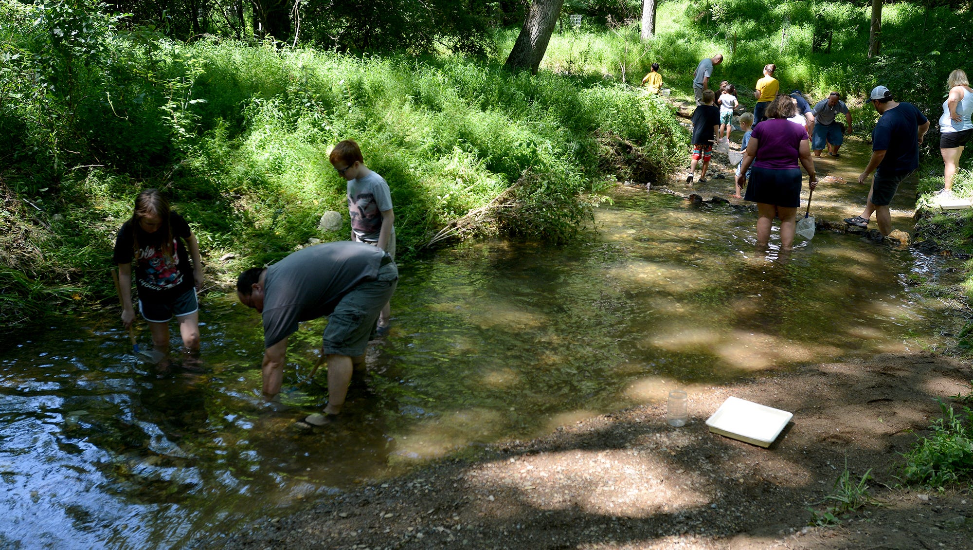 York County Parks events feature birds and streams