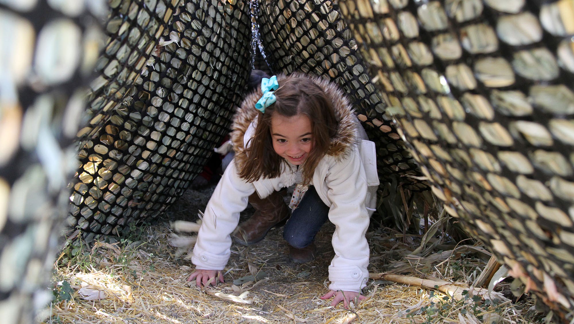 Montana S Corn Mazes And Pumpkin Patches Open