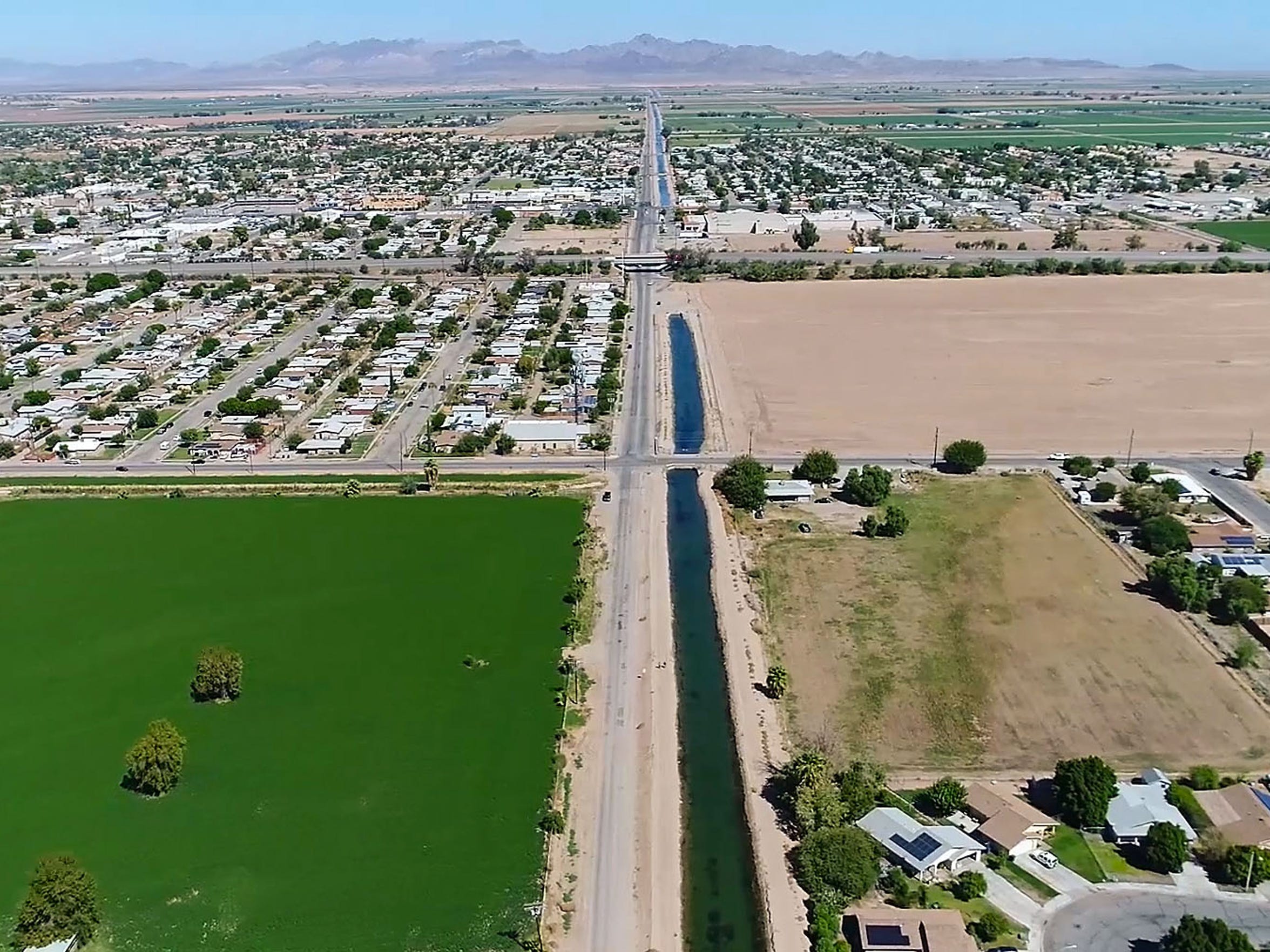 Coachella Valley Cannabis Alliance Network News Blog