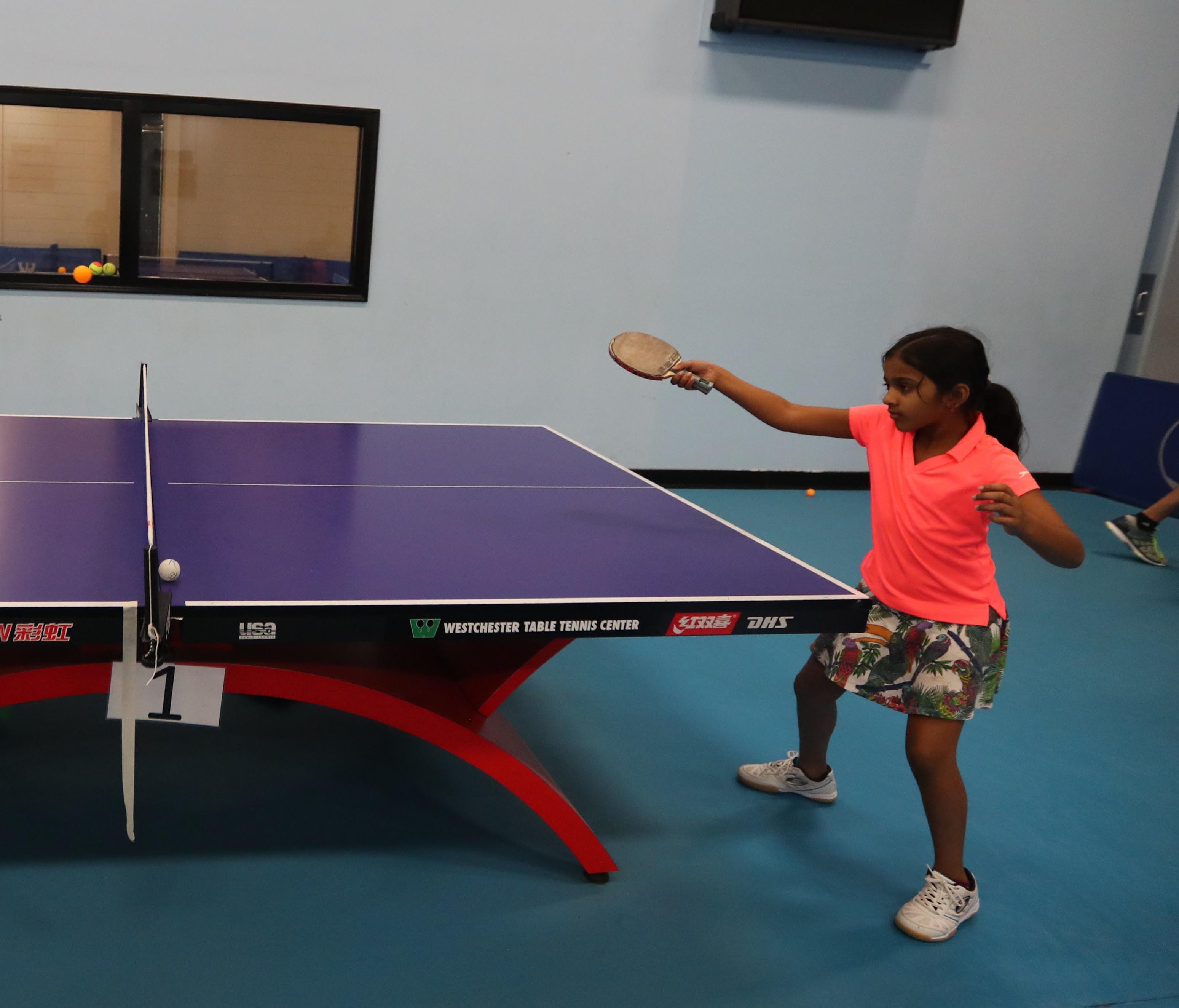 Westchester Table Tennis Cabinets Matttroy