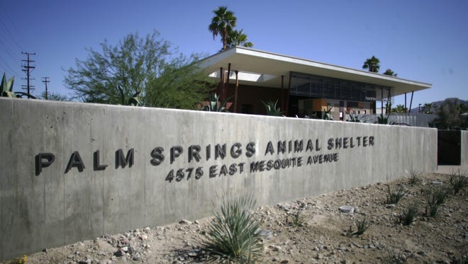 The Palm Springs Animal Shelter.