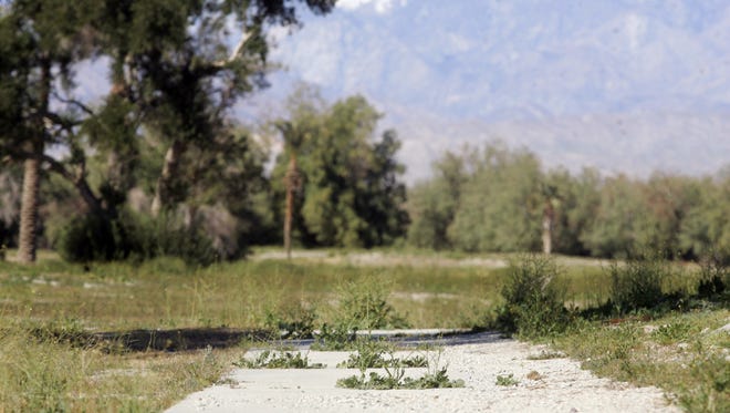 The abandoned Palm Springs Country Club in February 2011. Serena Park, a large housing project, is proposed for the site.