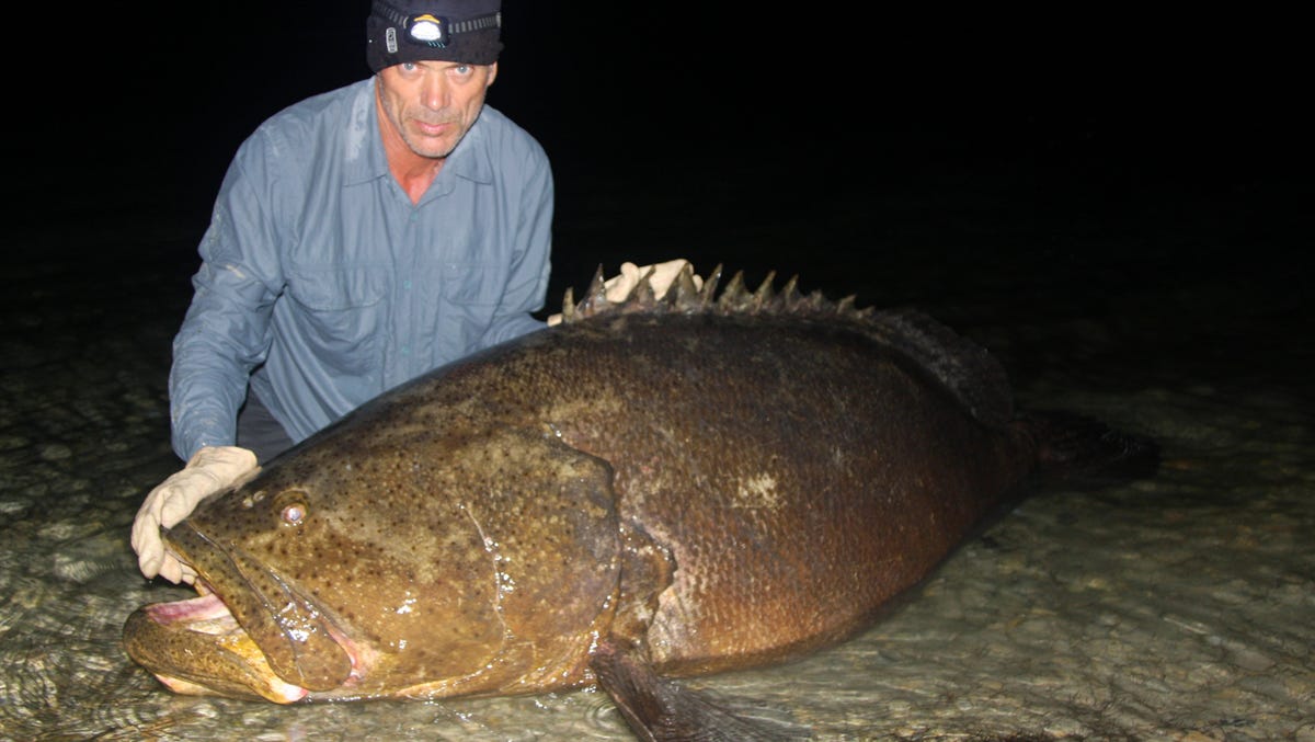 Listen Now! Spring training for fishing? Sure, it’s a thing, plus much more with Ed Killer